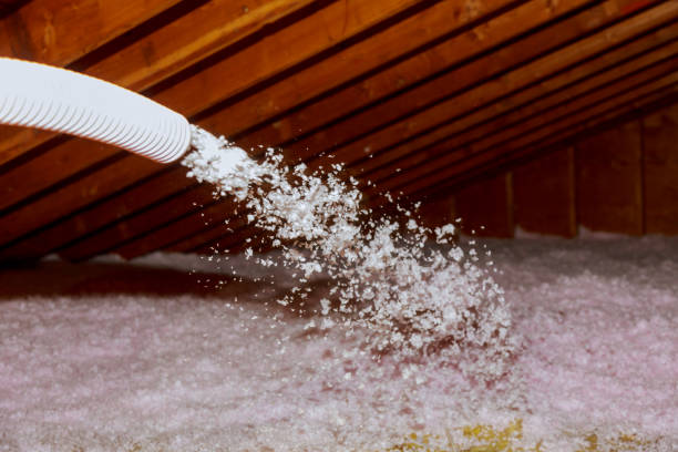Best Eco-Friendly Insulation in Ingalls Park, IL