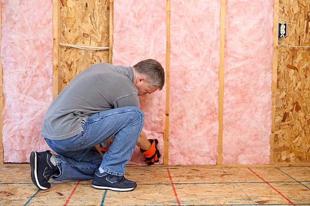Best Residential Insulation in Ingalls Park, IL